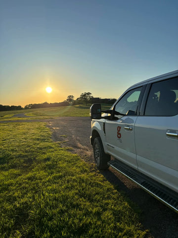 Texas cattle, open pasture, Black Angus ranch, family-owned beef farm, grass-fed cattle
