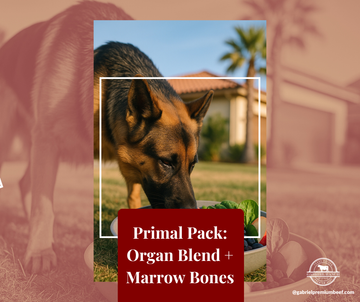 Primal Pack: Organ Blend + Marrow Bones